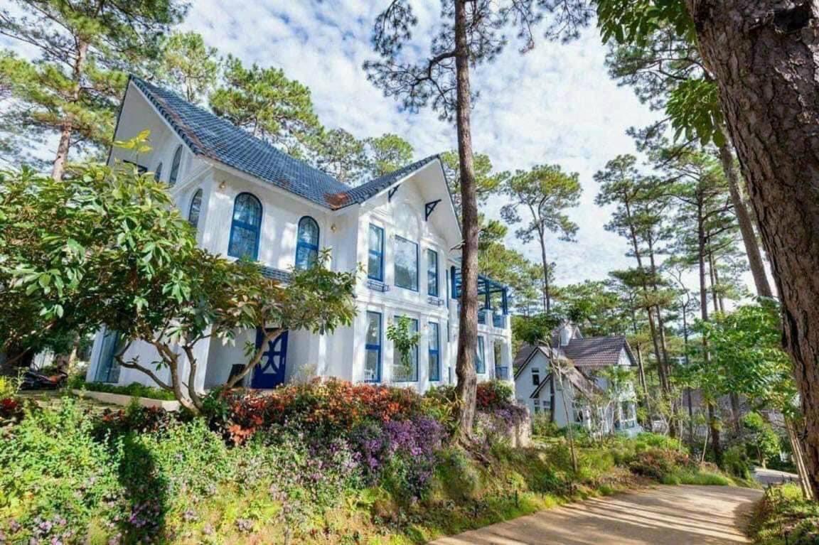 Villa Ho Tuyen Lam Da Lat View Rung Thong Đà Lạt Ngoại thất bức ảnh