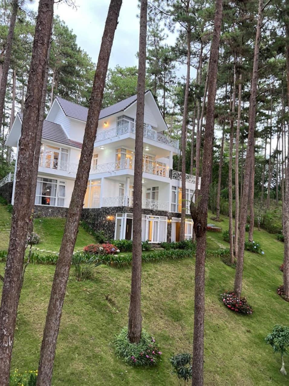 Villa Ho Tuyen Lam Da Lat View Rung Thong Đà Lạt Ngoại thất bức ảnh